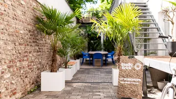 Outdoor patio with plants and chairs.