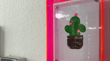 Framed cactus artwork on wall with pink border.