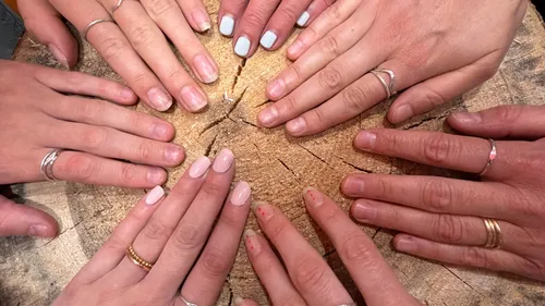 Mehrere Hände mit Ringen auf Baumstumpf.