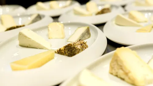 Weinverkostung & Käse mit 18 Sorten in München