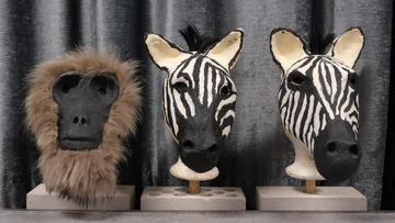Affen und Zebra Masken