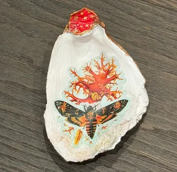 Painted shell with moth and coral design.