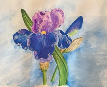 Lila Schwertlilien-Malerei auf blauem Hintergrund.