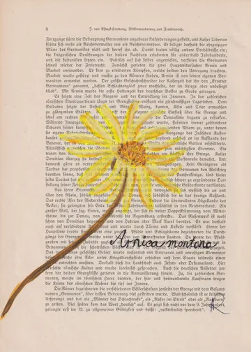 Gelbe Blume auf alter Textseite gezeichnet.