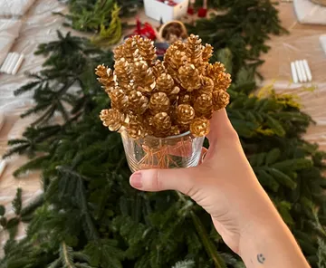 Hand hält goldene Kiefernzapfen, grüner Hintergrund.