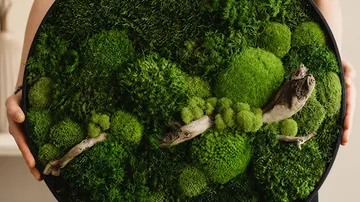 Circular moss decor with wooden accents