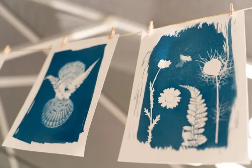 Two cyanotype prints hanging on a line.