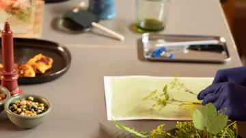 Gloved hands arranging dried flowers on paper.