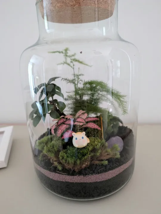 Terrarium plants with figurine in a jar.