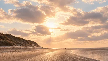 Sunset illuminating beach with dunes.