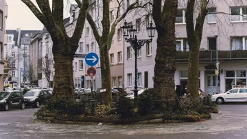 Bäume auf kleinem Kreisverkehr in Stadtstraße.