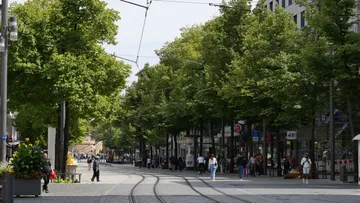Fußgänger gehen entlang baumbestandener Stadtstraße.