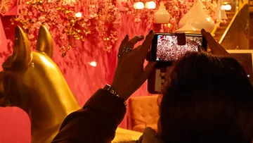 Person fotografiert pinkes Blütendisplay drinnen.
