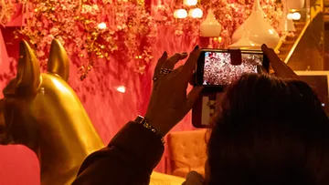 Person photographing golden statue in pink room.
