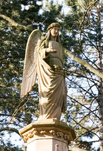 Angel statue on pedestal, surrounded by trees.