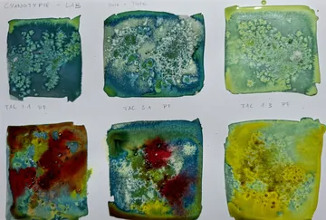 Colorful cyanotype samples on white paper.