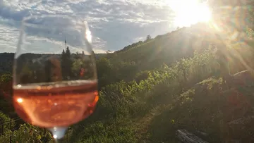 Wine glass with vineyard sunset view.