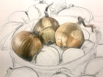 Onions in a bowl, calmly arranged, depicted in drawings.