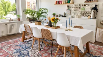 Dining table with plants in bright room.