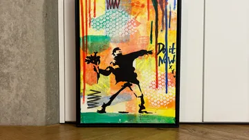 Framed art of a protester throwing flowers.