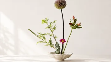 Blumenarrangement in dekorativer Schale.