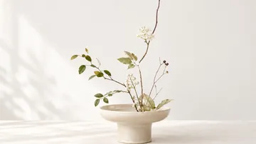 Blumenarrangement in minimalistischem Keramikvase.