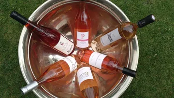 Wine bottles arranged in a metal bowl outdoors.