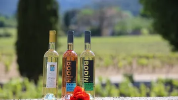 Three wine bottles on stone ledge outdoors.