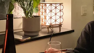 Tischlampe leuchtet neben Topfpflanze.