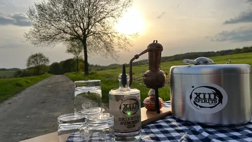 Gin bottle and glasses on table outdoors.
