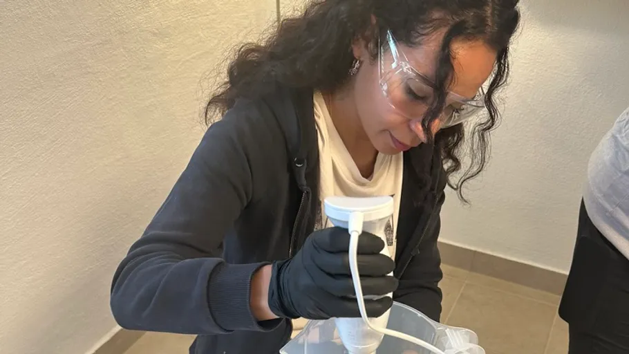 Person using blender in a kitchen setting.