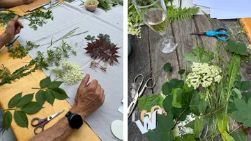 Hands arranging leaves on a tabletop.