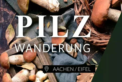 Mushroom hiking in Aachen
