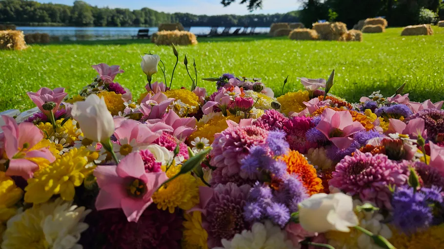 Bunte Blumen auf Gras nahe einem See.