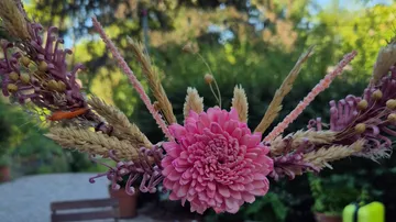Pink flower with wheat and greenery.