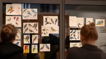 Vogelskizzen auf Glaswänden ausgestellt.