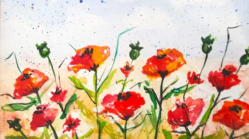 Poppies, watercolor painting in Dresden