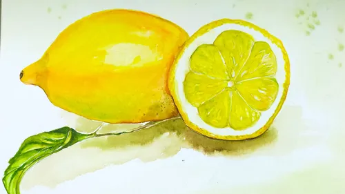 Lemons, watercolor painting in Dresden