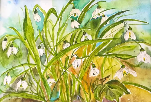 Painting snowdrops with watercolor in Dresden