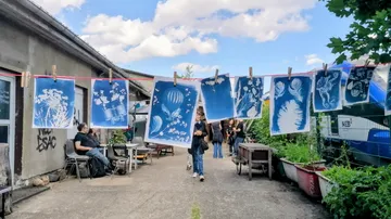 Blue art prints hanging on outdoor line.