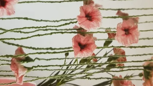 Rosa Blumen mit grünen Fäden verwoben.