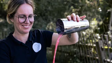 Person gießt rosa Flüssigkeit draußen.