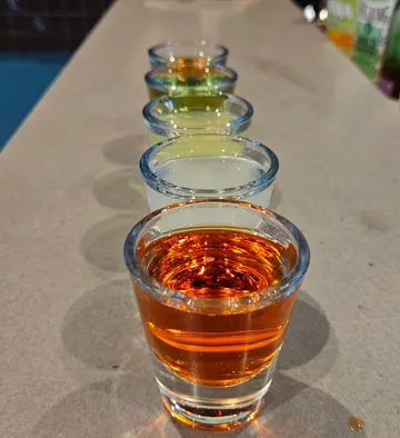 Shot glasses arranged on bar counter.
