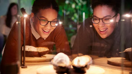 Two people observing objects in a museum.