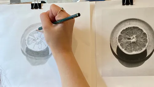 Person drawing citrus fruit from photo.
