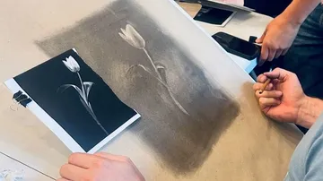 Hands drawing tulip on paper with reference photo.