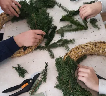 Hands making wreath with evergreen branches.