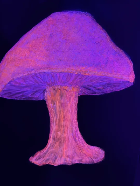 Leuchtender Pilz unter UV-Licht, Seitenansicht
