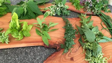 Frische Küchenkräuter liegen auf einem Holztablett.