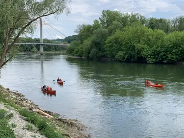 Rote Kanus fahren auf ruhigem Wasser, umgeben von Bäumen.